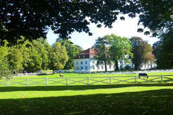 Gestüt Panker &copy; Kirsten Willert