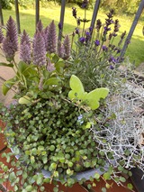 Ferienwohnung in Riepsdorf - Wohnung auf dem Lande - Bild 24