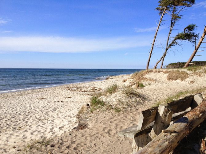 Ferienwohnung in Wieck a. Dar&szlig; - Haus Schumann - Bild 16