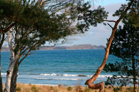 Ferienwohnung in Juliusruh - D&uuml;nenresidenz Julius Ruh - Bild 7