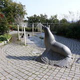 Ferienwohnung in Sellin - Sonnengl&uuml;ck in der Residenz Seeblick - Die wasserspeihende Robbe auf den Ostsee-Terrassen