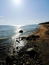 Ferienwohnung in S&uuml;ssau - Wiese - Bild 22