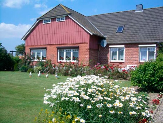 Ferienwohnung in S&uuml;ssau - Wiese - Bild 13