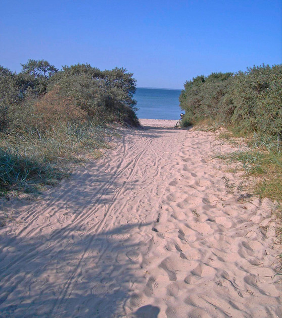 Ferienhaus in Barendorf - Ostermann - Bild 11