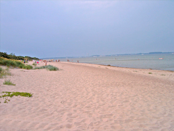 Ferienhaus in Barendorf - Ostermann - Bild 12