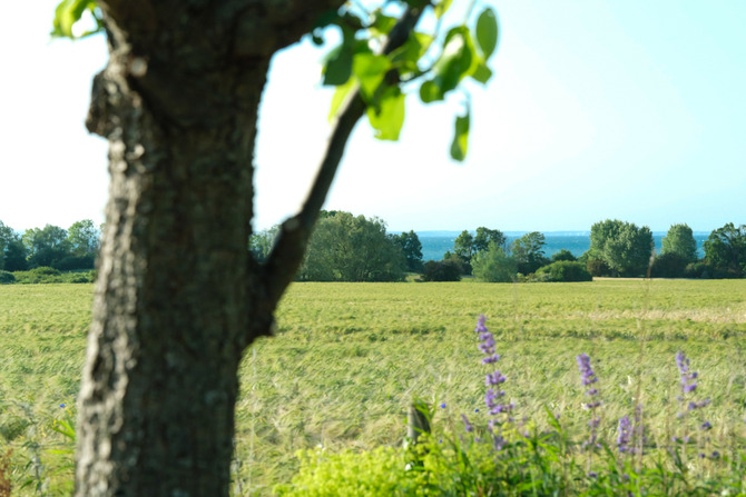 Ferienwohnung in Gro&szlig; Schwansee - Seeweg 20 - Blick vom Gartentisch