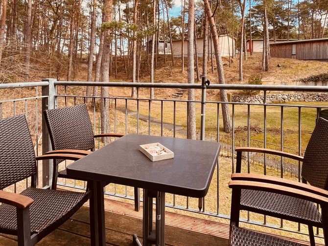 Ferienwohnung in Trassenheide - Strandidyl im K&uuml;stenwald - Balkon Wohnzimmer