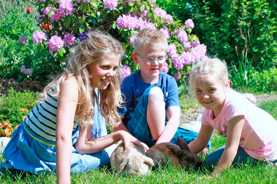 Ferienwohnung in Rettin - Ferienhof Hansen Lachm&ouml;we - Hasen-Hotel HANSEN