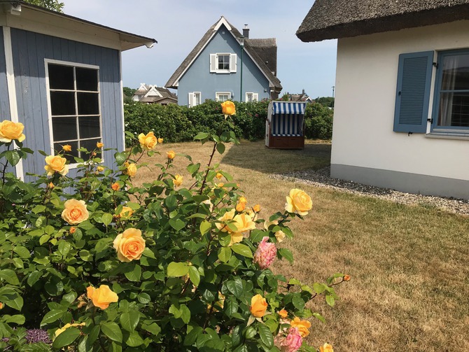 Ferienhaus in Glowe - Kliff K&ouml;nigsh&ouml;rn - Bild 12