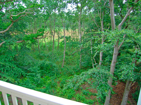 Ferienwohnung in Graal-M&uuml;ritz - Im Strandpark - Bild 11