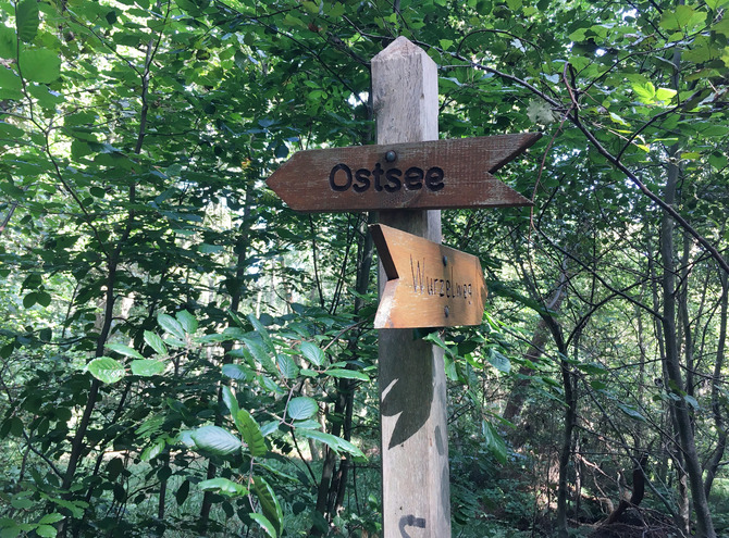 Ferienhaus in Dabitz - Dabitz - Bild 17