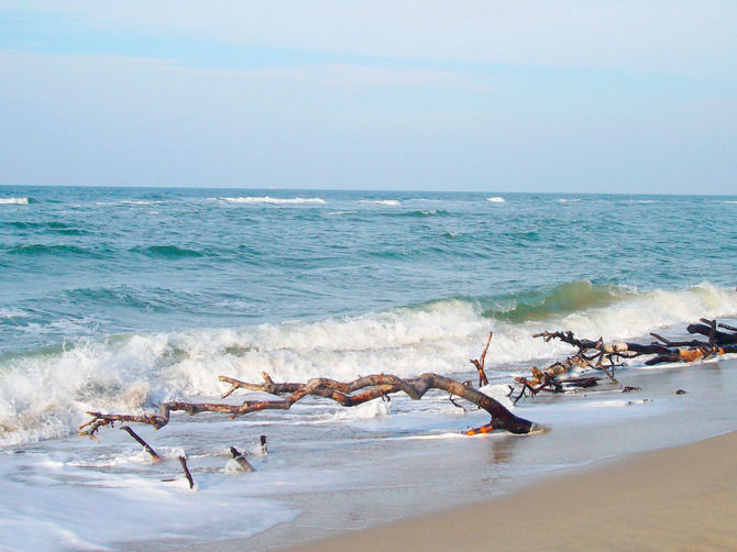 Ferienwohnung in Bresewitz - Landhaus am Bodden - am Strand