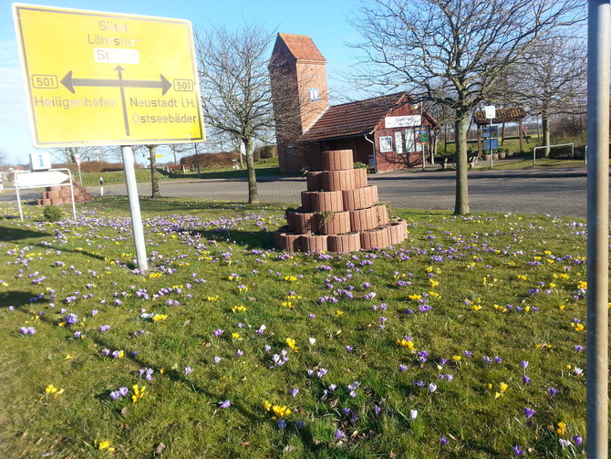 Ferienwohnung in Neukirchen - Haus Helga - Krokusbl&uuml;te im Fr&uuml;hling