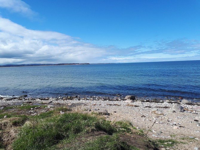 Ferienhaus in D&ouml;hnsdorf - Landhaus Unter dem Reetdach - Naturstrand Hohwachter Bucht