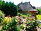 Ferienhaus in D&ouml;hnsdorf - Landhaus Unter dem Reetdach - Blumengarten