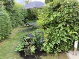 Ferienwohnung in K&uuml;hlungsborn - Strandstrasse-OstSeegarten - Der Garten
