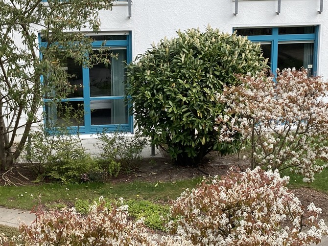 Ferienwohnung in K&uuml;hlungsborn - Strandstrasse-OstSeegarten - die beiden Schlafzimmer von aussen