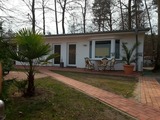 Ferienwohnung in &Uuml;ckeritz -  - Bild 2