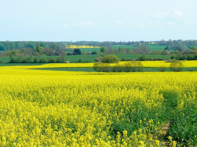 Ferienwohnung in Gr&ouml;dersby - FeWo Woge - Bild 11