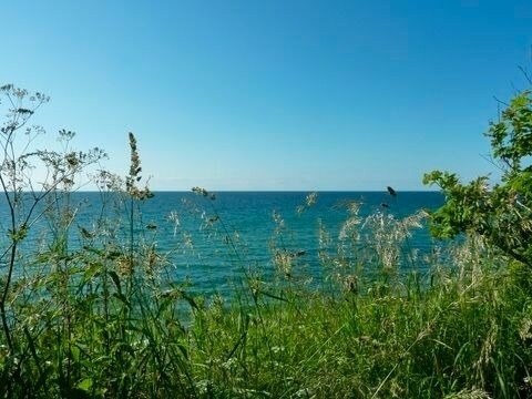 Ferienwohnung in Rerik - Strandl&auml;ufer in der Villa Rosita - Bild 25