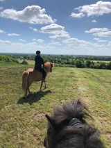 Ferienwohnung in B&uuml;nsdorf - Seerose - Bild 23