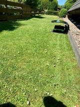 Ferienhaus in B&uuml;nsdorf - Ferienhaus Busch - Bild 14