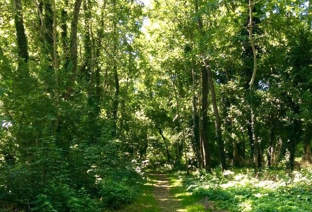Ferienhaus in B&uuml;nsdorf - Haus Wittensee - Bild 23