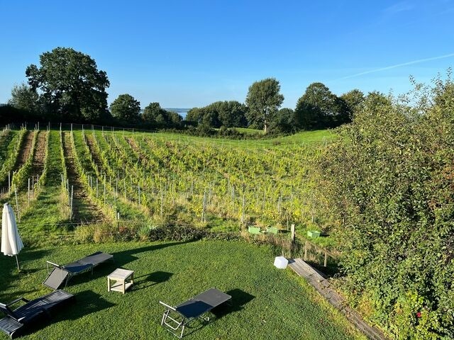 Ferienwohnung in Gro&szlig; Wittensee - Hoheluft am Wittensee Apt. 1 - Bild 14