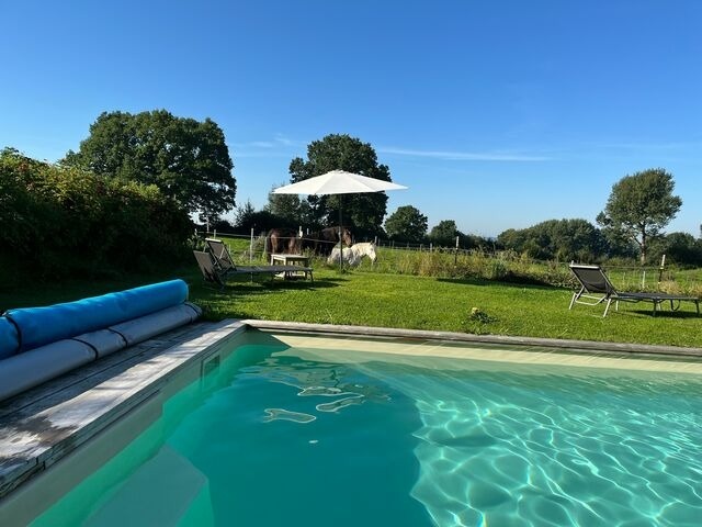 Ferienwohnung in Gro&szlig; Wittensee - Hoheluft am Wittensee Apt. 1 - Bild 15