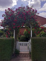 Ferienwohnung in Gro&szlig; Wittensee - Martens - Bild 4