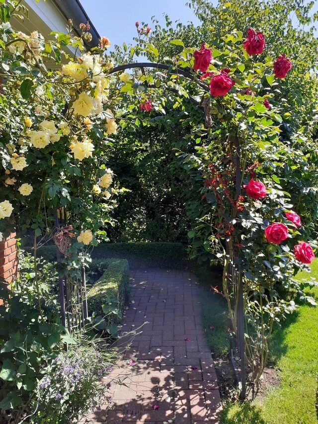 Ferienwohnung in Gro&szlig; Wittensee - Martens - Bild 9