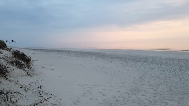 Ferienwohnung in Gro&szlig; Wittensee - Martens - Bild 23