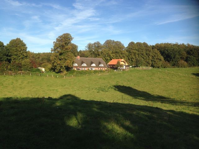 Ferienwohnung in Gro&szlig; Wittensee - Hoheluft am Wittensee Apt. 3 - Bild 10