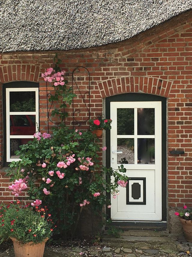 Ferienwohnung in Gro&szlig; Wittensee - Hoheluft am Wittensee Apt. 3 - Bild 11