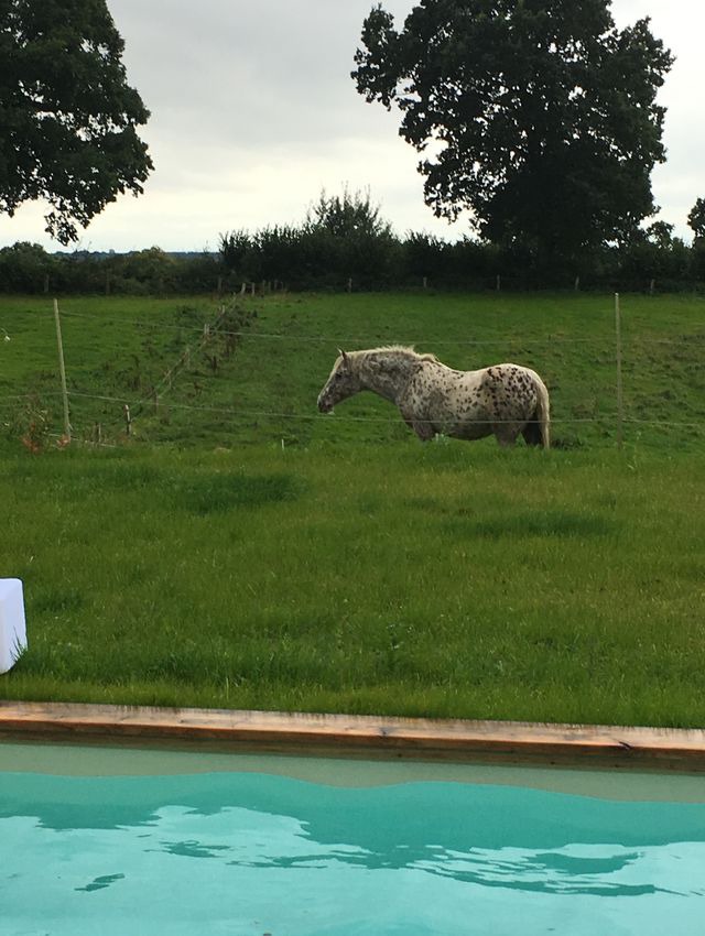 Ferienwohnung in Gro&szlig; Wittensee - Hoheluft am Wittensee Apt. 3 - Bild 12
