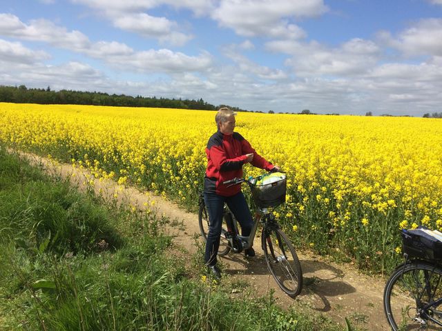 Ferienhaus in B&uuml;nsdorf - Aukamp - Bild 18