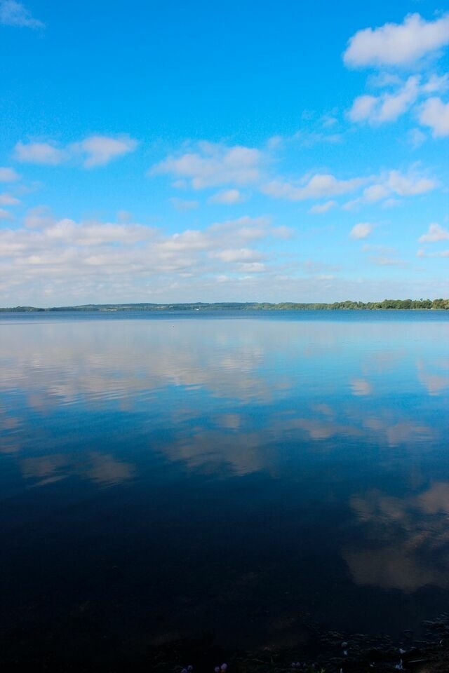 Ferienwohnung in Haby - Herrmannshof Haby App 2 Borby - Bild 10