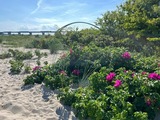Ferienwohnung in Fehmarn OT Fehmarnsund - Ferienwohnung Fehmarnsund mit Gartenterrasse - Bild 10