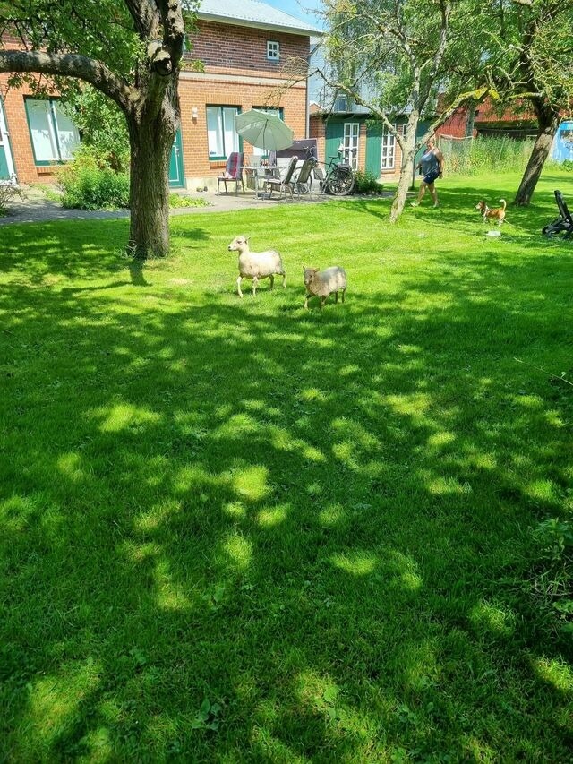 Ferienhaus in Fehmarn OT Bisdorf - Ferienhof Bisdorf "Lunauhaus" Reihenhaus - Bild 2