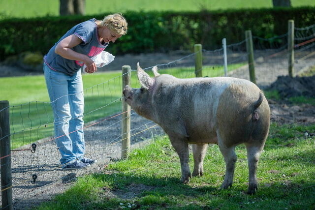 Ferienwohnung in Fehmarn OT Lemkendorf - Ferienhof Becker - Kutterliebe - Bild 3
