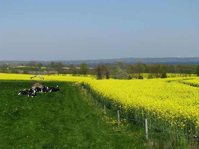 Ferienhaus in B&uuml;nsdorf - Frietied am Wittensee - Bild 20