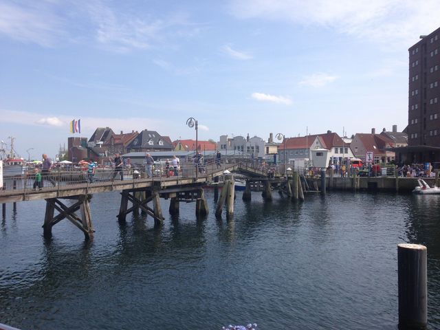 Ferienwohnung in Gro&szlig; Wittensee - Ferienwohnung Seepanorama - Bild 22