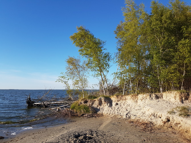 Ferienwohnung in Bodstedt - Haus Ostseer&auml;uber Fewo I - Bodstedter Strand - 5 Min