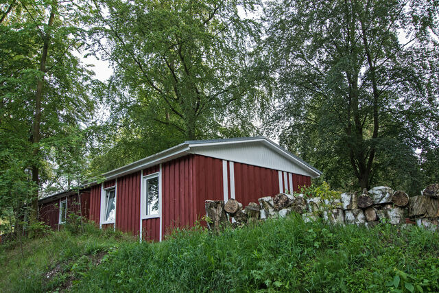 Ferienhaus in &Uuml;ckeritz - Seestern - Bild 12