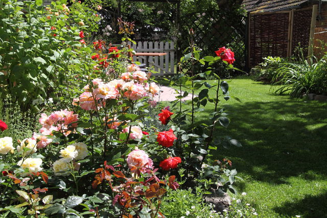 Ferienwohnung in Fehmarn OT Vitzdorf - Ferienwohnung wei&szlig;es Haus - Bild 14