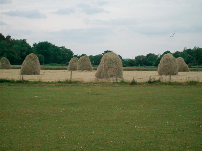 Ferienwohnung in S&uuml;sel - Ferienhof Haas - Bild 11