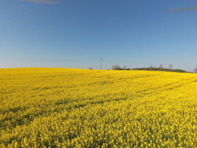 Ferienwohnung in Rabenkirchen-Faul&uuml;ck - Schleiblick App. 14 - Bild 17