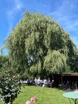 Ferienwohnung in Pantow - Pantow-Binz - Bild 18