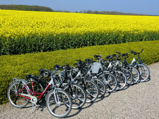 Ferienwohnung in S&uuml;ssau - Wiese - Bild 13