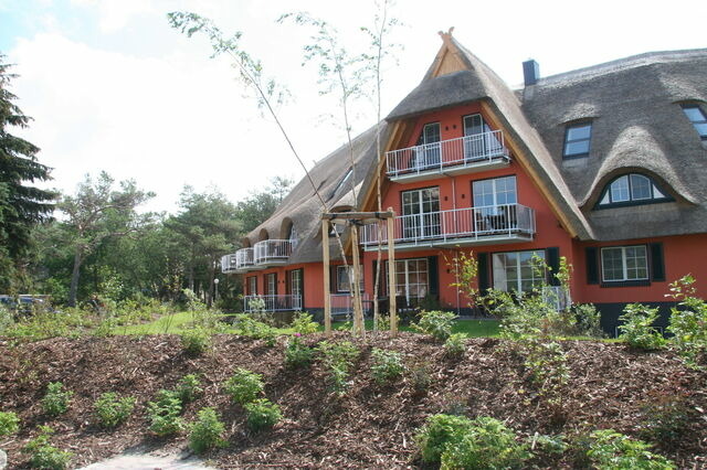 Ferienwohnung in Dierhagen - Balkon-Maisonette-Ferienwohnung - Bild 22
